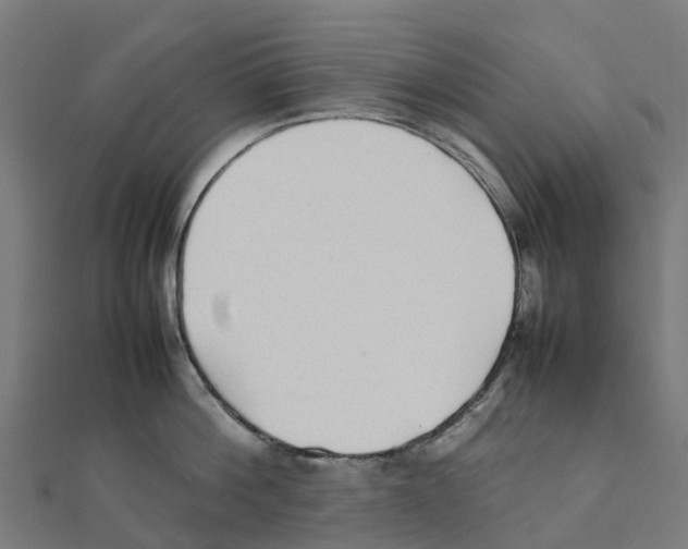 X0000111250812200907301325