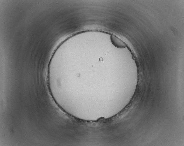 X0000111250815200907301325