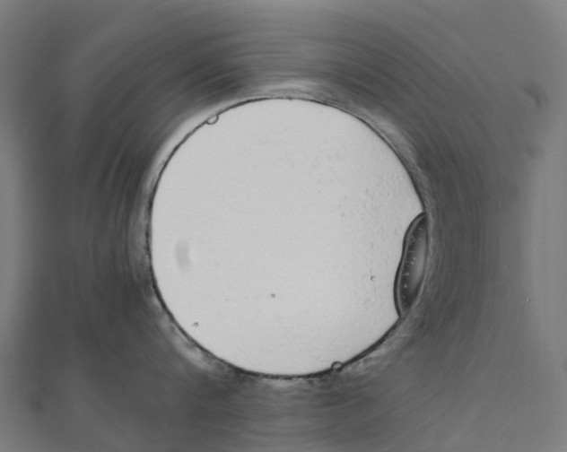 X0000111250816200907301325