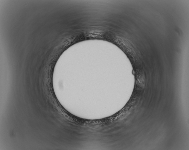 X0000111250817200907301325