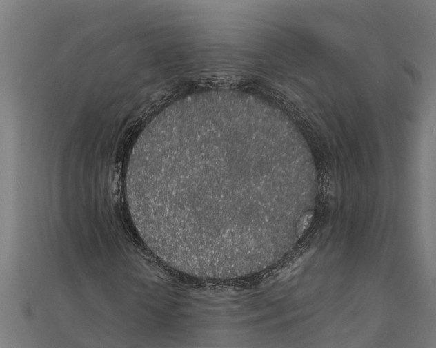 X0000111250818200907301325