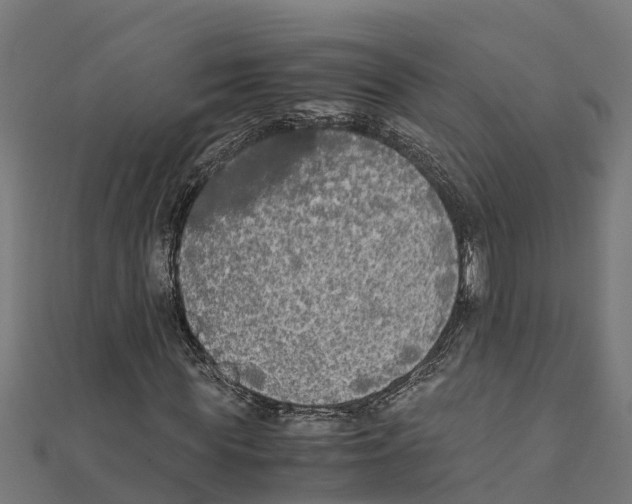 X0000111250819200907301325