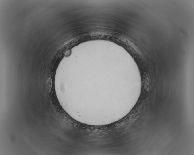 X0000111250821200907301325