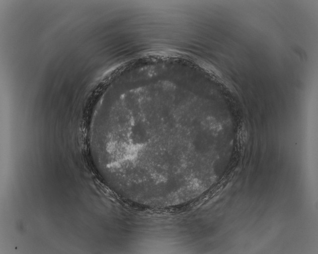 X0000111250822200907301325