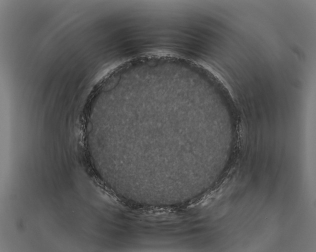 X0000111250823200907301325