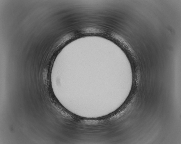 X0000111250825200907301325