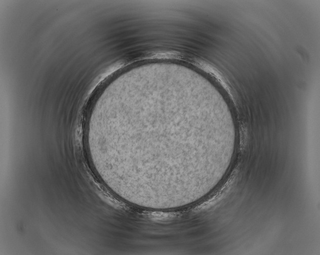 X0000111250827200907301325