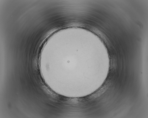 X0000111250828200907301325