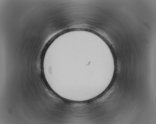 X0000111250830200907301325