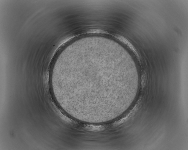 X0000111250831200907301325