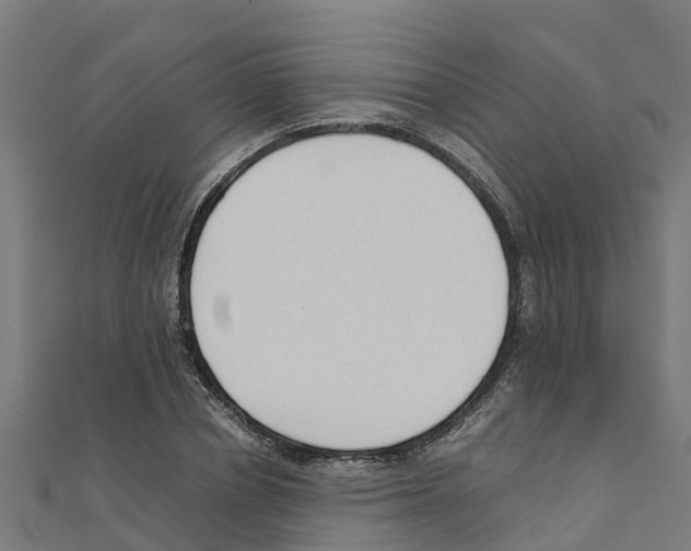 X0000111250834200907301325