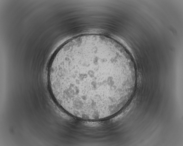 X0000111250835200907301325