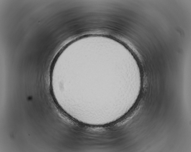 X0000111250837200907301325