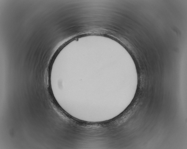 X0000111250838200907301325