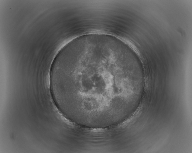 X0000111250839200907301325