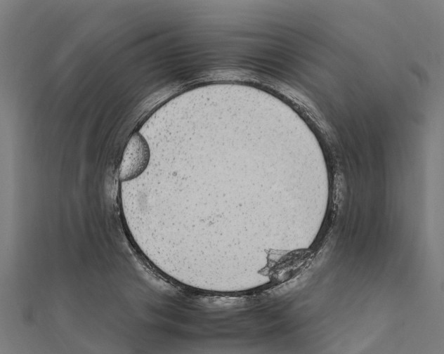 X0000111250841200907301325