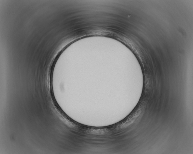 X0000111250843200907301325