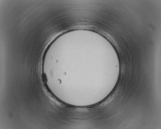 X0000111250844200907301325