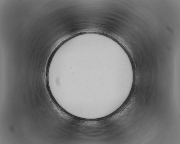 X0000111250845200907301325