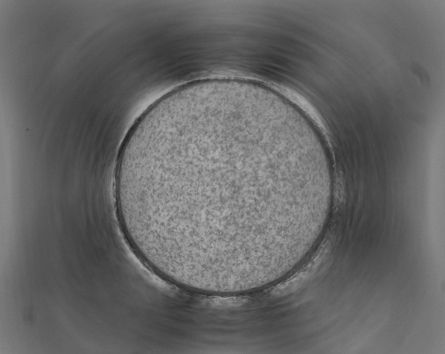 X0000111250847200907301325