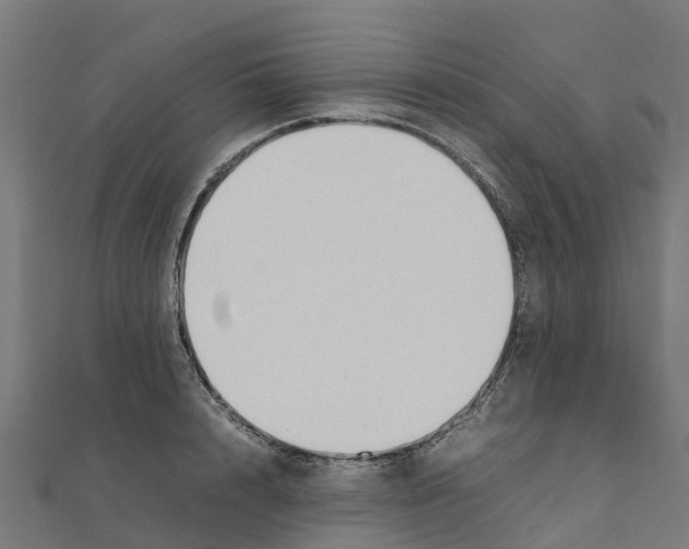 X0000111250848200907301325