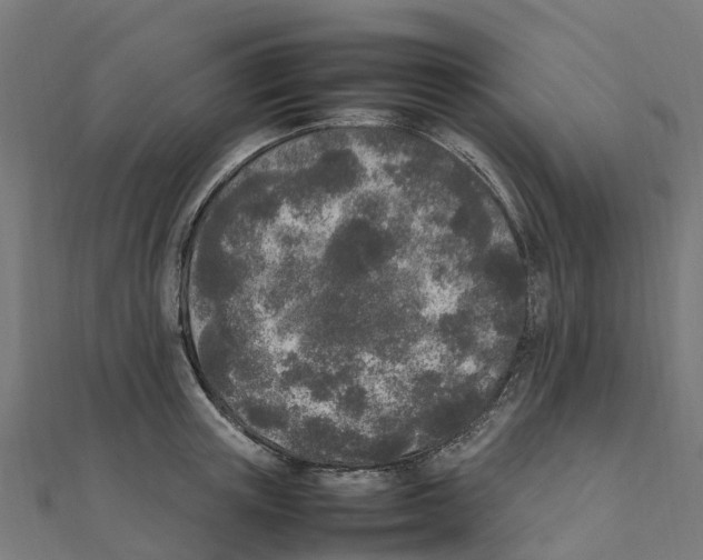 X0000111250851200907301325