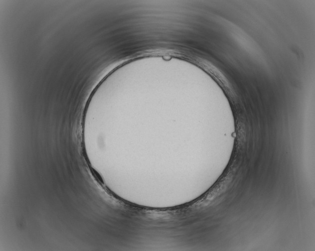 X0000111250852200907301325