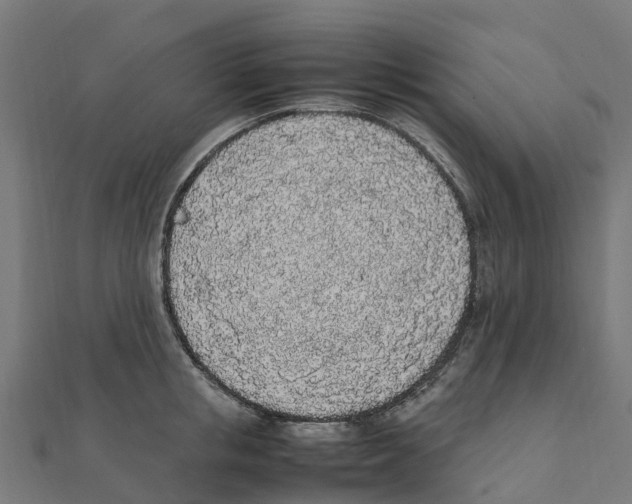 X0000111250853200907301325