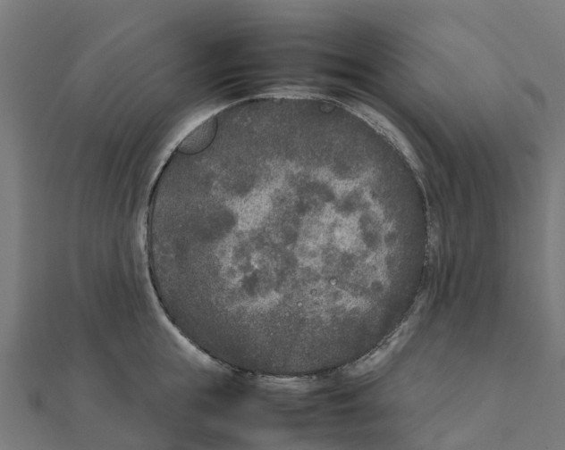 X0000111250855200907301325