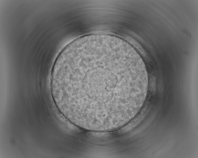 X0000111250856200907301325