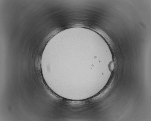 X0000111250857200907301325