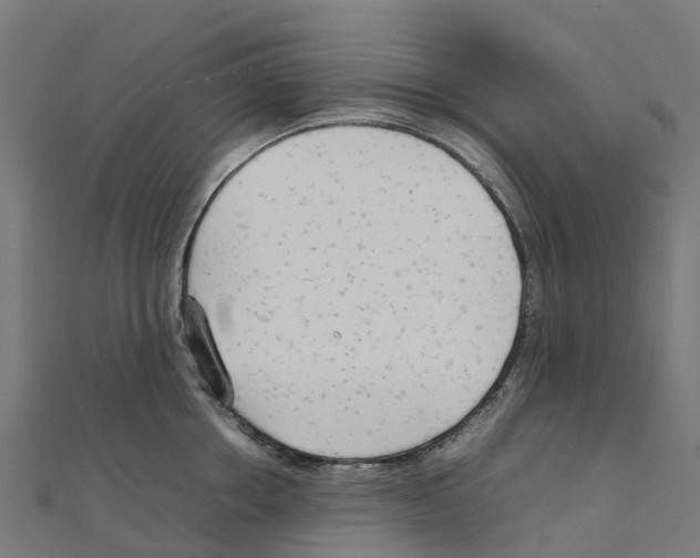 X0000111250858200907301325