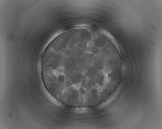 X0000111250859200907301325