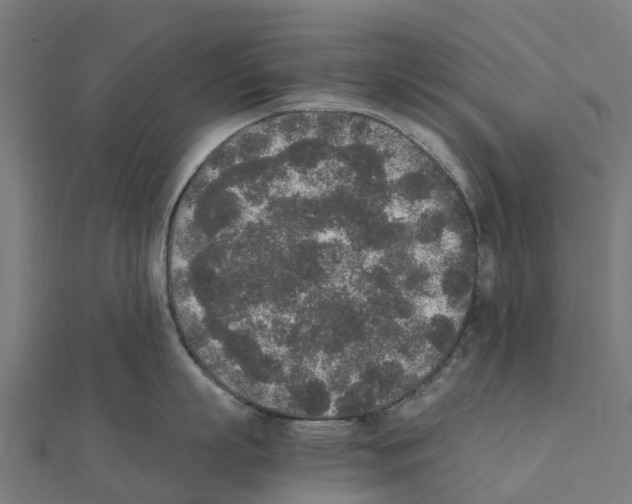 X0000111250863200907301325