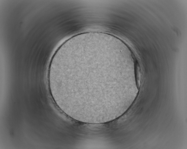 X0000111250864200907301325