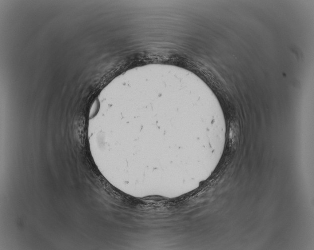 X0000111250867200907301325