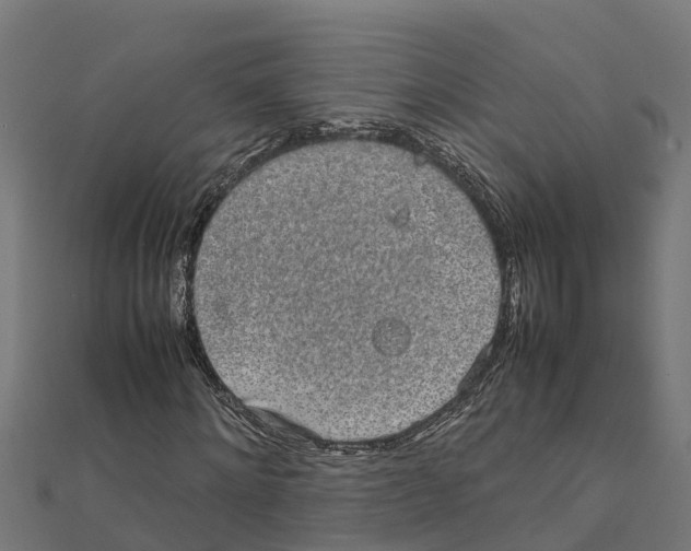 X0000111250868200907301325