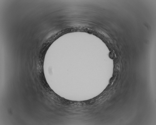 X0000111250869200907301325