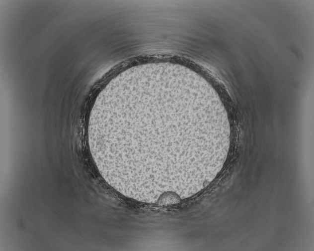 X0000111250871200907301325