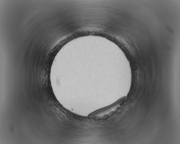 X0000111250872200907301325