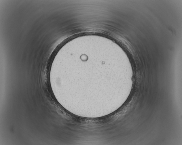 X0000111250875200907301325