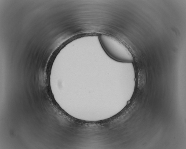 X0000111250876200907301325