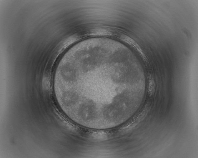 X0000111250882200907301324