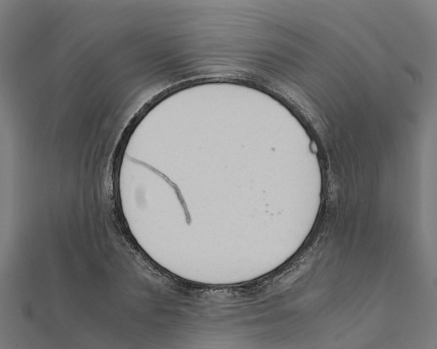 X0000111250883200907301324