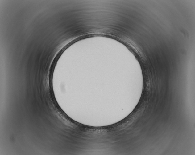 X0000111250884200907301324