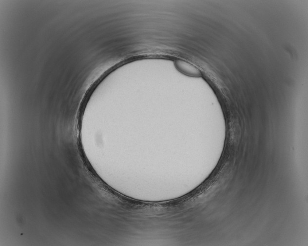 X0000111250885200907301324