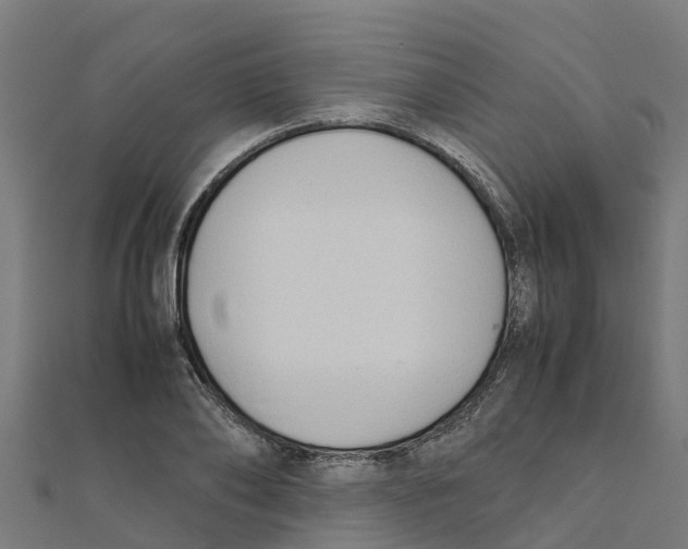 X0000111250886200907301324