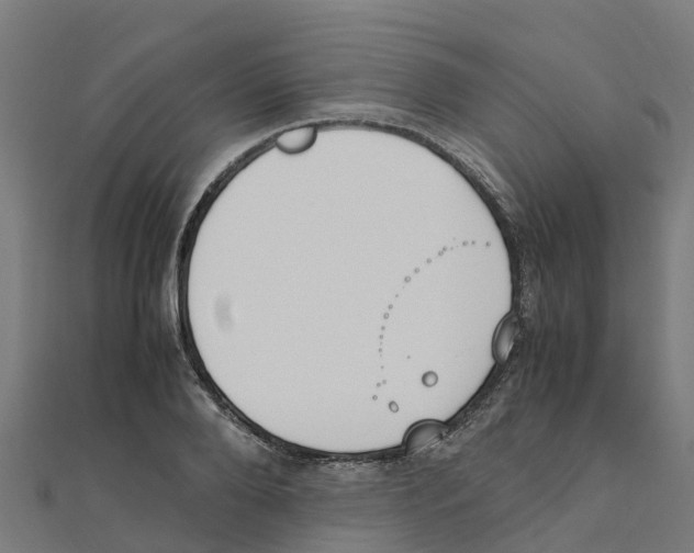 X0000111250888200907301324