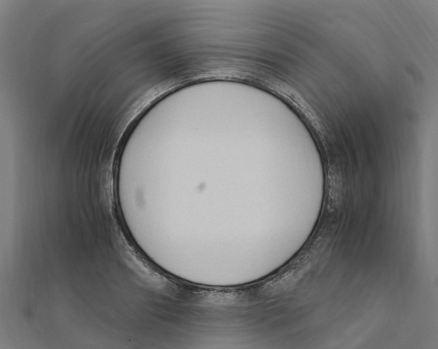 X0000111250890200907301324