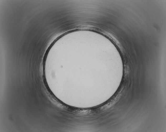 X0000111250891200907301324